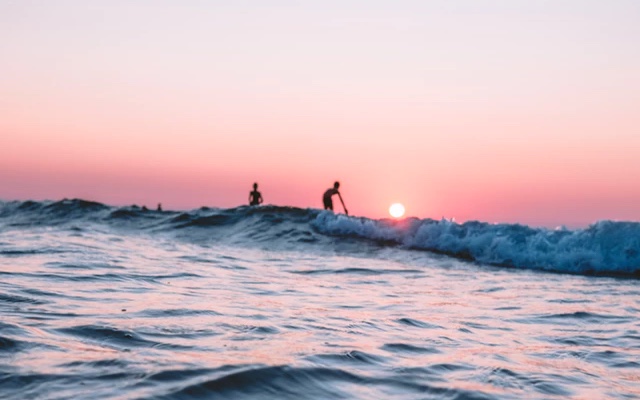 two people surfing on ocean waves set in front of a beautiful pink sunset